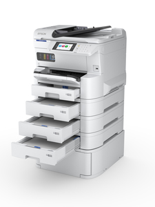 Epson EM-C7100
