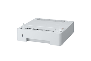 Epson WorkForce AL-M310DN