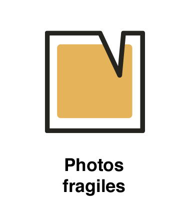 Fragile Photos
