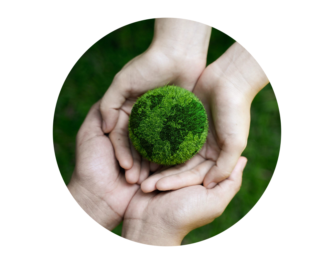 Hands holding a grass ball shaped to look like the Earth.