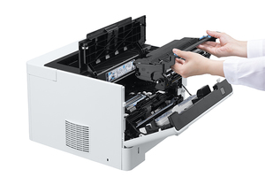 Epson WorkForce AL-M310DN