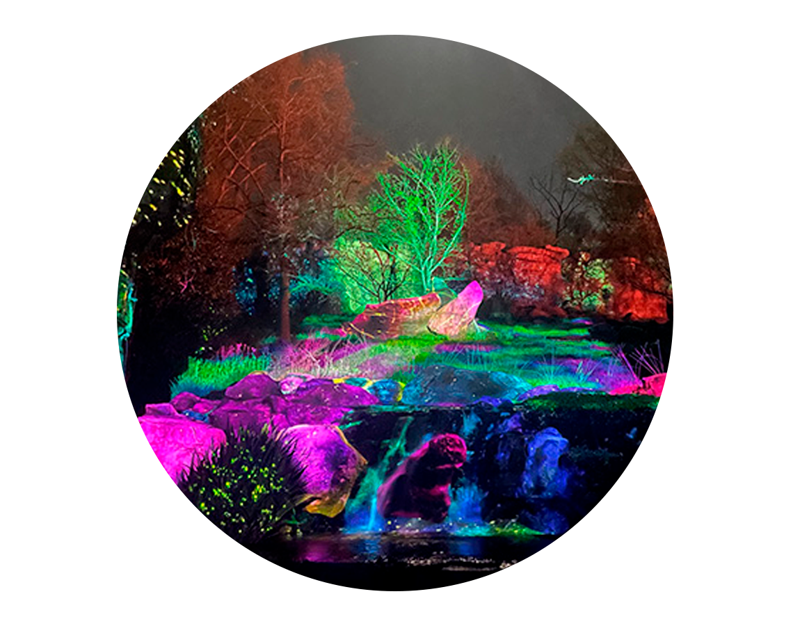 Projection mapping on rocks and water at Tennesee zoo
