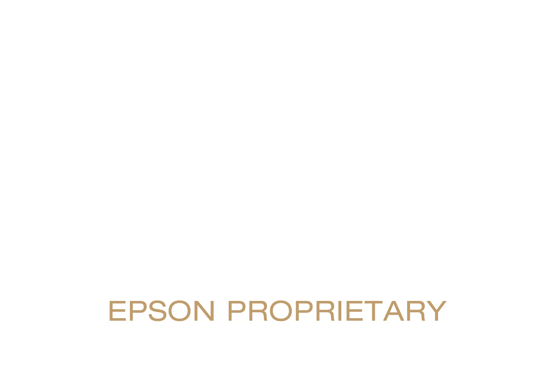 Dedicated 32-Bit ZX Picture Processor - Epson Proprietary

