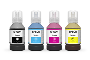 Epson T49H Ink Bottles