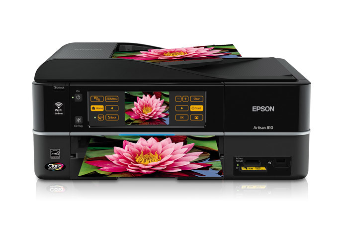 epson 810 printer ink
