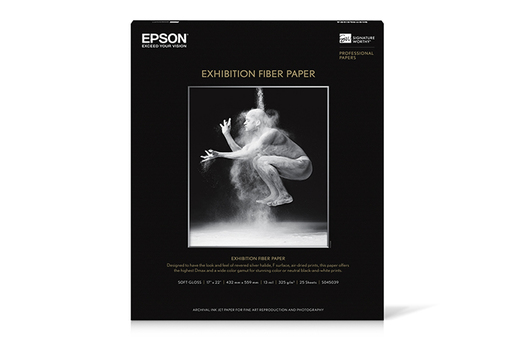 Epson® Hot Press Natural Fine Art Paper Roll, 16 mil, 17 x 50 ft, Smooth  Matte Natural