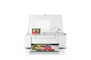 Epson PictureMate PM-401