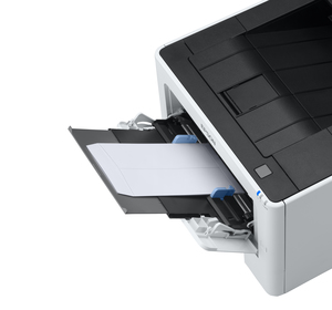 Epson WorkForce AL-M310DN