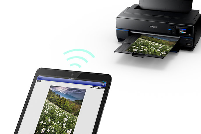 Epson deals sc p800