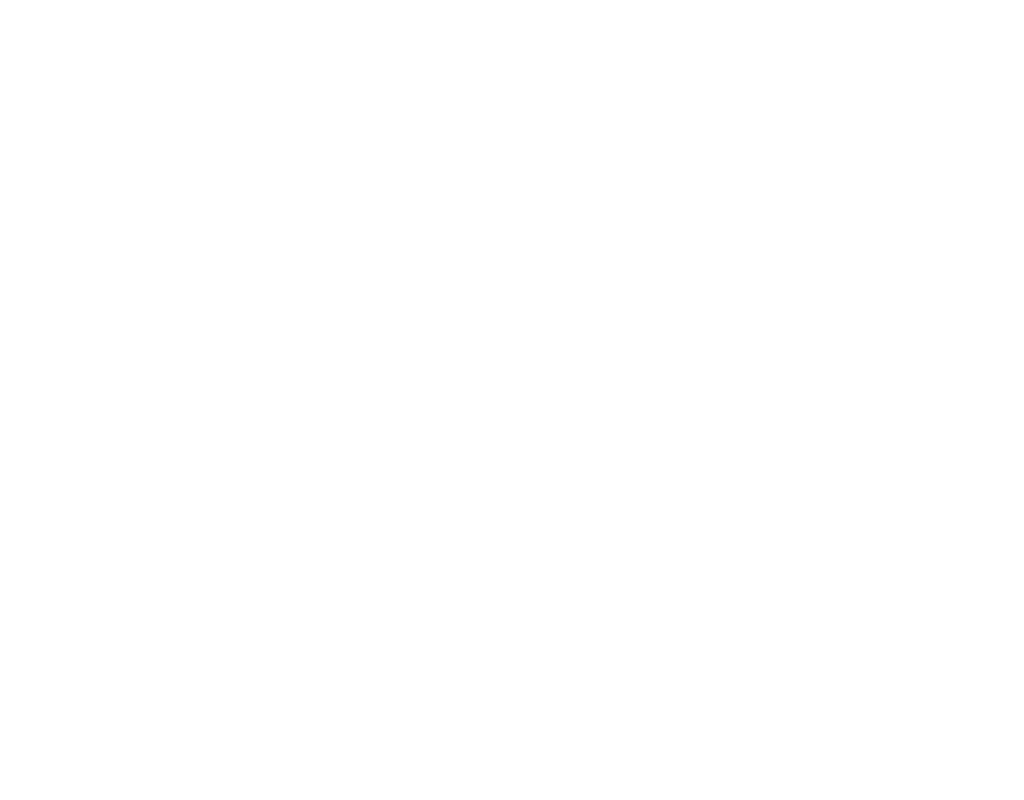 Advanced Network Security