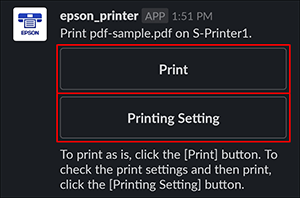 ventana negra con los botones print y printing settings seleccionados