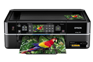 Epson Artisan 700 All-in-One Printer