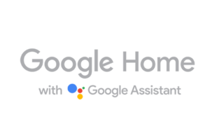 Google Assistant