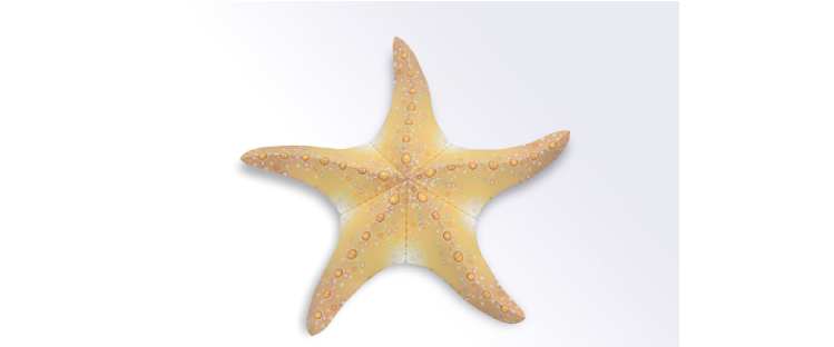 Starfish