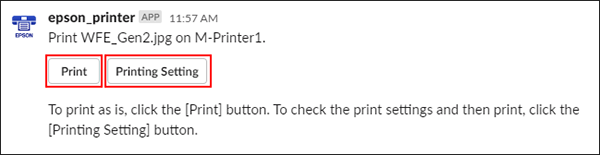epson printer window with print and printing settings buttons
