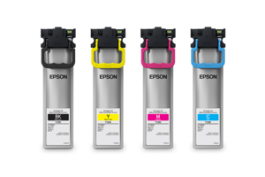 Epson T10S Ink Pack