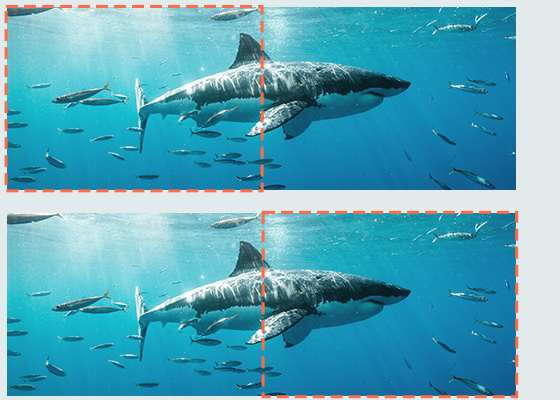 Two illustrations of a shark, highlighting the two projections seamless display of one image.

