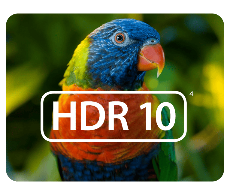 HDR 103