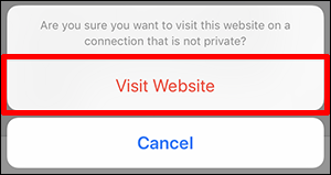 unsecure warning window with Visit Website selected
