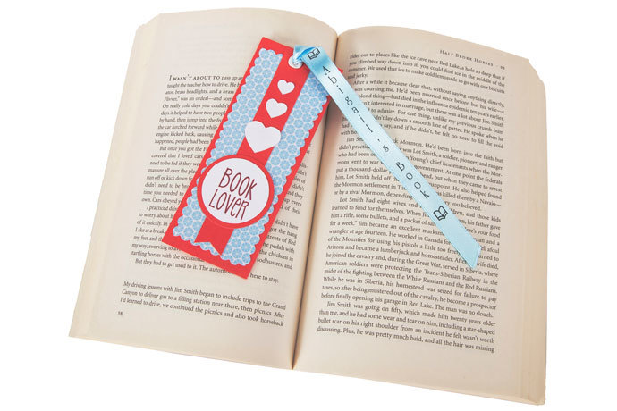 LabelWorks LW-300 Carrying Case