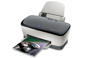 Epson Stylus C80N Ink Jet Printer