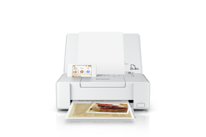 Epson PictureMate PM-401