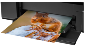 epson l805 printing cost per page