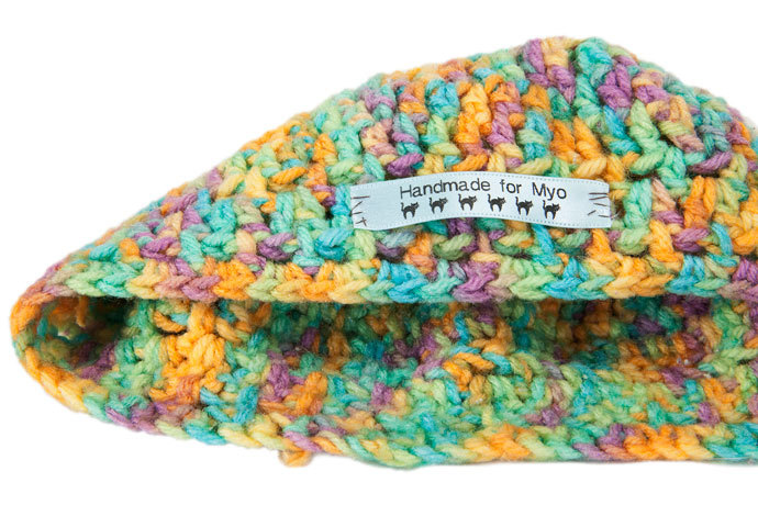 LabelWorks LW-300 Carrying Case