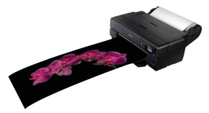 Epson SureColor SC-P807 Photo Printer 