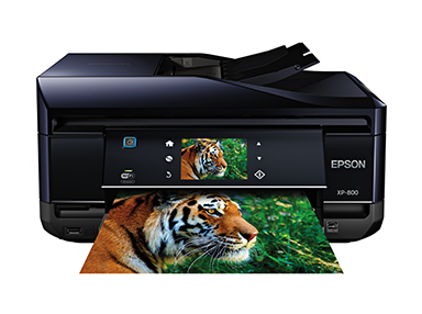Afvise Mod Definition SPT_C11CC45201 | Epson XP-800 | XP Series | All-In-Ones | Printers |  Support | Epson US