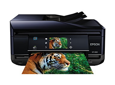 Epson XP-800