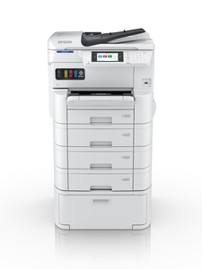 Epson EM-C7100