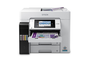 Amazon.com: Epson TM-U295P Receipt Printer (C31C178262
