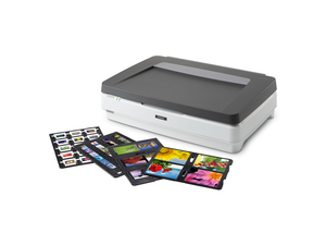 Epson Expression 13000XL A3 Flatbed Photo Scanner