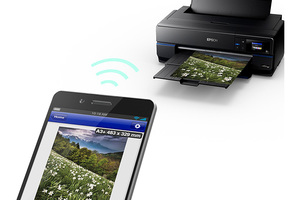 Epson SureColor P800 Designer Edition Printer