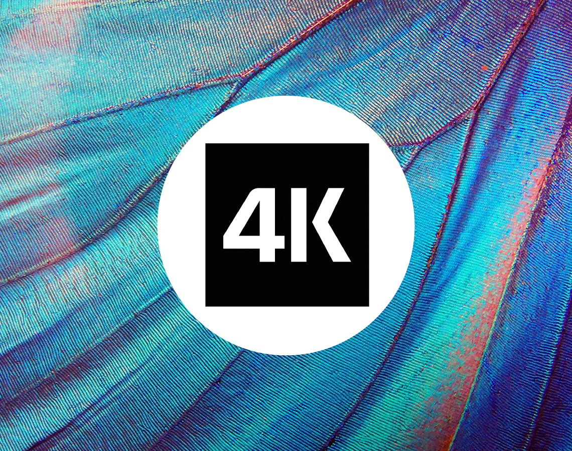 4K Crystal Motion logo on closeup of butterfly wing
