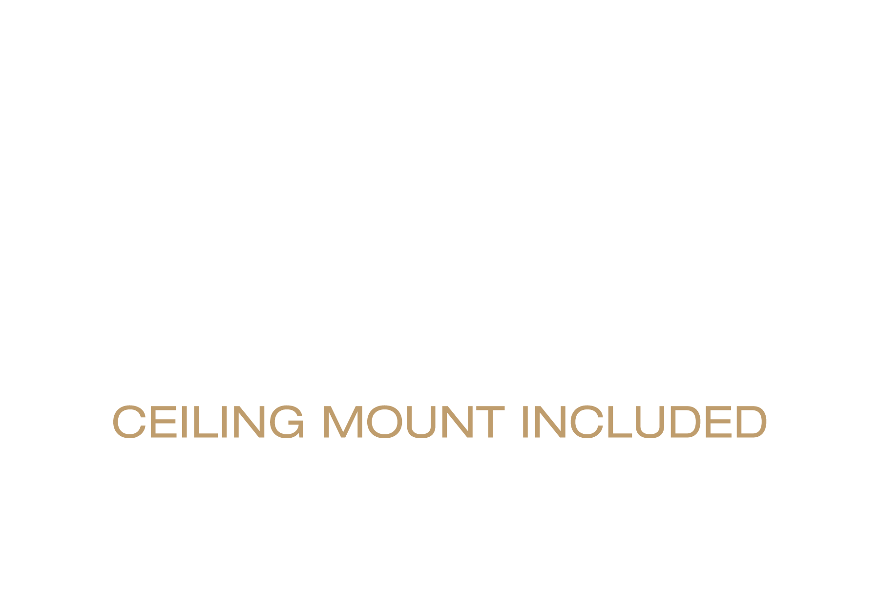 Desktop or Ceiling Mountable | Ceiling Mount Included
