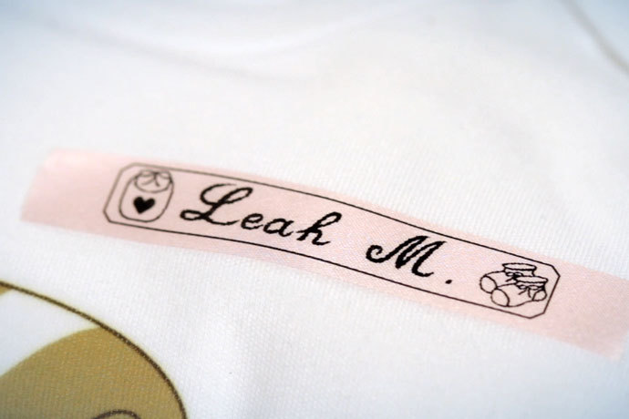 LabelWorks LW-300 Carrying Case