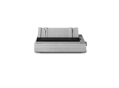 Epson ActionPrinter 2500