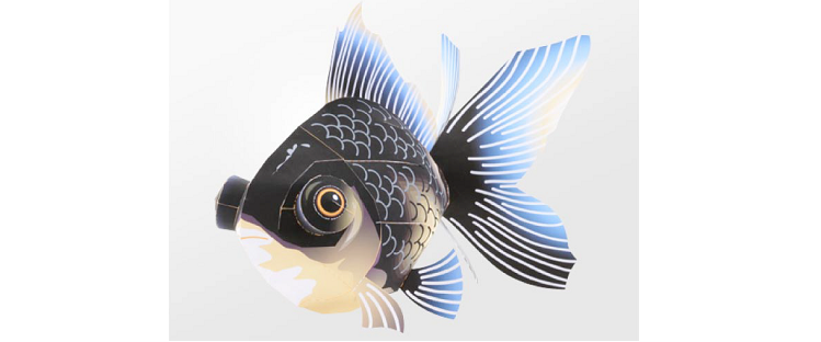 Black Goldfish
