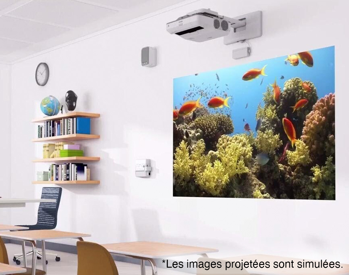 Projected image of an aquarium on a white wall.
