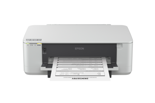 Epson K100