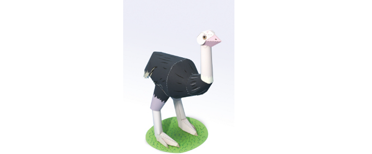 Ostrich