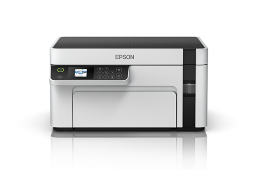 Epson M2110