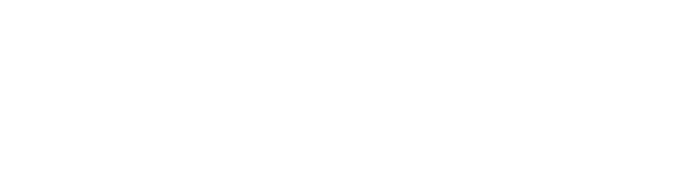 Principales caractéristiques