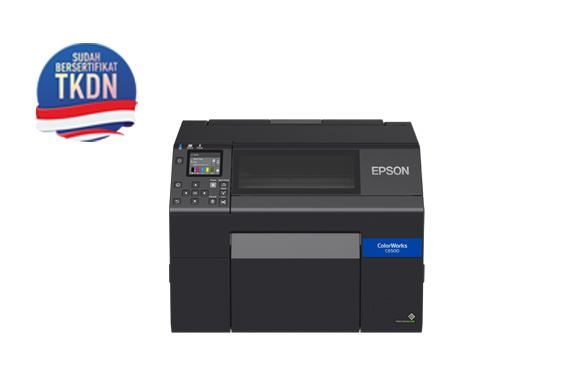 Epson C6550A