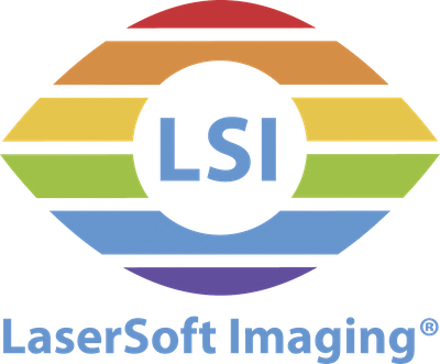 lsi-logo