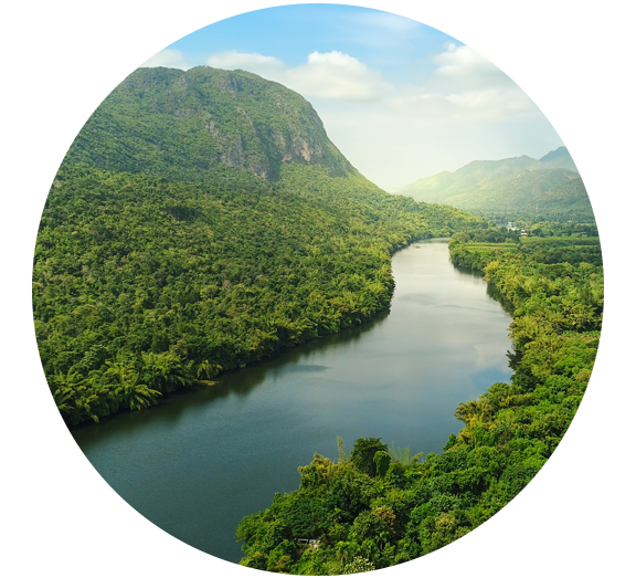 A river in a green valley