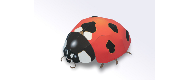 Beetle