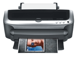 Epson Stylus Photo 2200 Ink Jet Printer